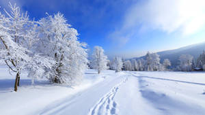 Snowy Landscape Winter Desktop Wallpaper