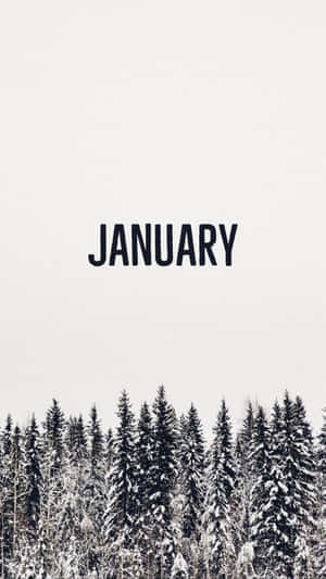Snowy Pine Tree January Phone Wallpaper