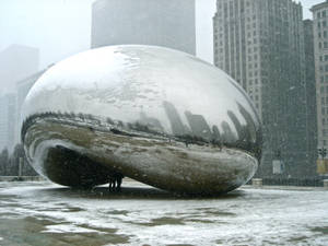 Snowy The Bean Chicago Wallpaper