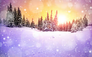 Snowy Winter Wonderland Wallpaper