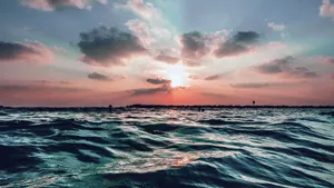 “soaking Up The Sunrise In The Pretty Ocean” Wallpaper