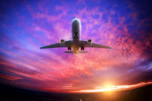 Soar Through Life In Your Own Stylish Way Wallpaper