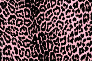 Soft And Sophisticated, The Pink Leopard Print Creates An Eye-catching Look. Wallpaper