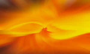 Soft And Sunny Light Orange Wallpaper