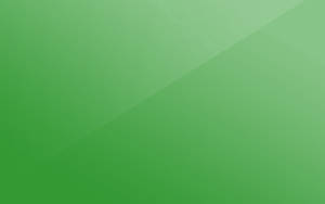 Soft Light Green Background Wallpaper
