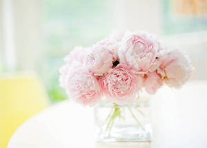 Soft Pink Peony Flowers In Vase Wallpaper