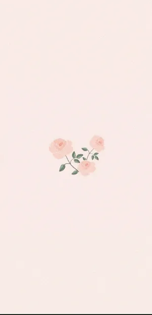 Soft Pink Roses Wallpaper