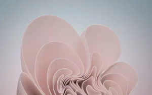 Soft Pink Swirls Backgrounds Wallpaper