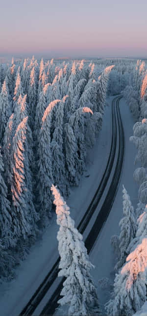 Softly Falling Snow Wallpaper