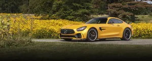 Solar Beam 2020 Mercedes Amg Gtr Wallpaper