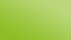 Solid Background Apple Green Ombre Wallpaper