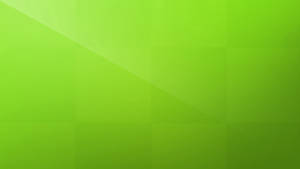 Solid Color Yellow Green Wallpaper
