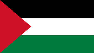 Solid Colors Of Palestine Flag Wallpaper