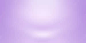 Solid Light Purple – Bold And Luxurious Color Wallpaper