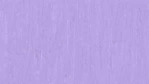 Solid Light Purple For Desktop Wallpaper