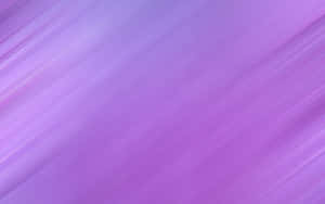 Solid Light Purple Minimalist Abstract Wallpaper