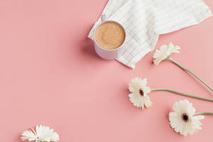 Solid Pastel Color Pink Coffee Wallpaper