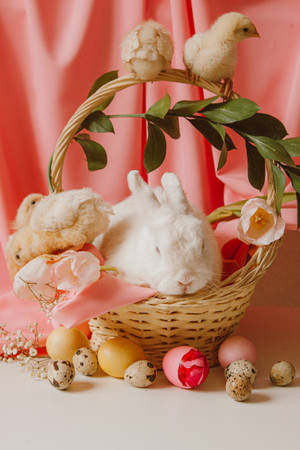 Solid Pastel Color Pink Rabbit And Chickens Wallpaper
