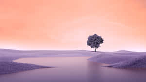 Solitary Tree Pastel Landscape Wallpaper