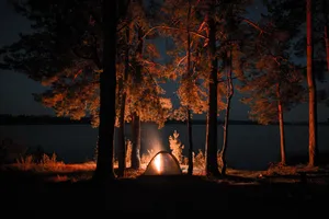 Solitude Amidst Nature's Beauty Wallpaper