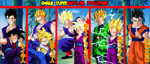 Son Gohan Saiyan Evolutions Wallpaper