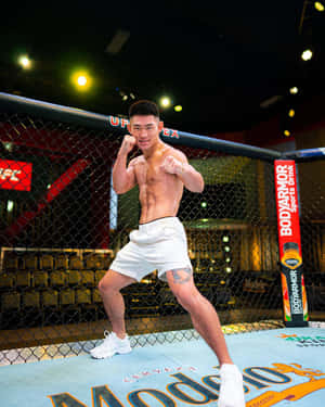 Song Yadong At Ufc Nevada Wallpaper