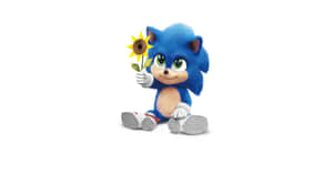 Sonic The Hedgehog Hd Wallpapers Wallpaper