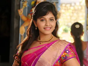 South Heroine Anjali Sari Wallpaper
