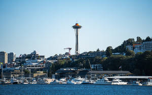 Space Needle Seattle 4k Wallpaper