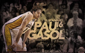 Spain Basketball Player Pau Gasol Wallpaper