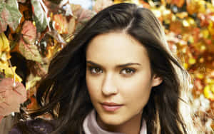 Spanish Woman Odette Annable Wallpaper