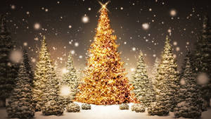 Sparkling And Beautiful Christmas Trees Wallpaper