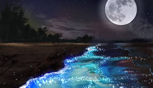 Sparkling Beach Under The Moon Night Sky Wallpaper
