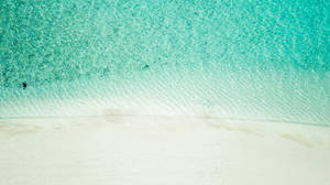 Sparkly Waters White Beach Wallpaper