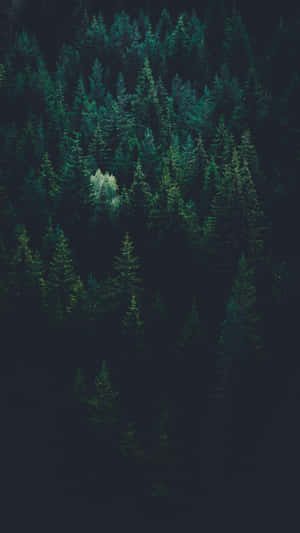 Special Edition Of The Dark Iphone From Apple Wallpaper