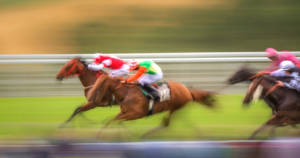 Speeding Horses In Horse Racing Competition Wallpaper