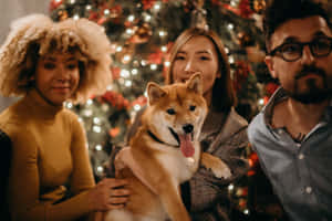 Spending Christmas Dog And Family Wallpaper