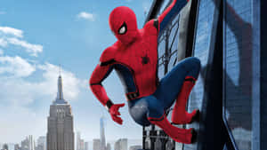 Spider Man Cool Sticking To High-rise Building Wallpaper