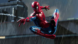 Spider Man In The Rain Wallpaper