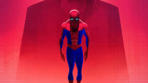 Spider Man Into Spider - Verse Wallpaper