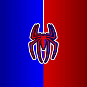 Spider Man Logo 2560 X 2560 Wallpaper
