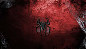 Spider-man Logo Fondos De Pantalla Wallpaper