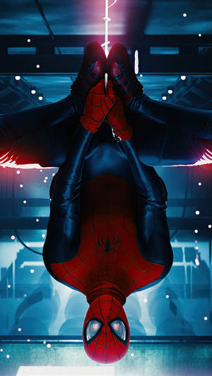 Spider Man Upside Down Mobile Wallpaper