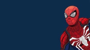 Spider Man Vector Art 4k Wallpaper