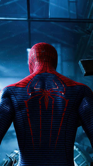 Spiderman Back Hd Phone Wallpaper