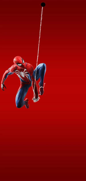 Spiderman Hanging By The Web On The Punch Hole Wallpaper