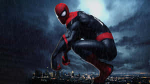 Spiderman In The City Sit Down Wallpaper