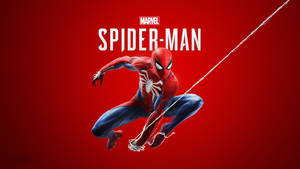 Spiderman Marvel 4k Ps4 Game Wallpaper