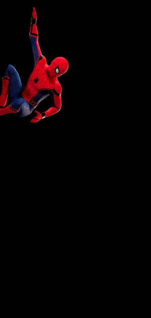 Spiderman On Black Punch Hole 4k Wallpaper
