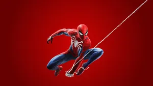 Spiderman Standing Ready For Action Wallpaper